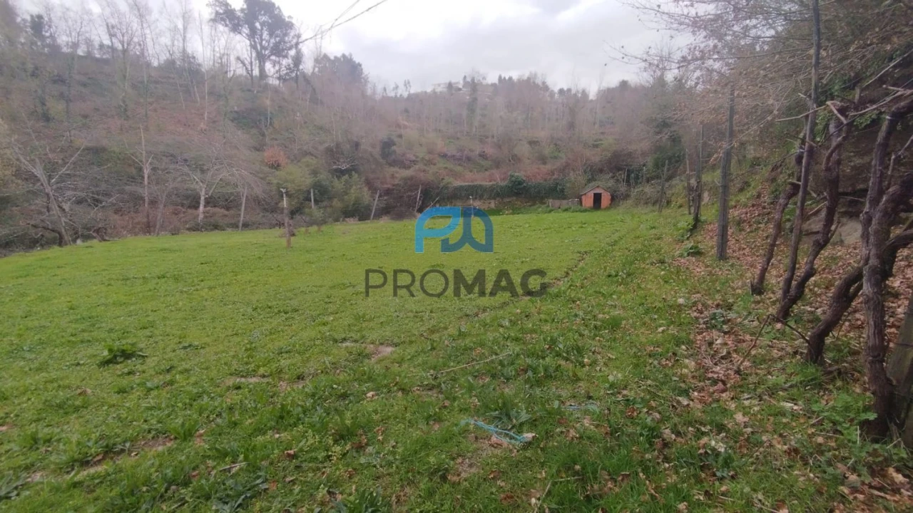 Terreno para Venda em Cinfães Foto 14