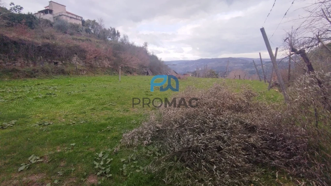Terreno para Venda em Cinfães Foto 12