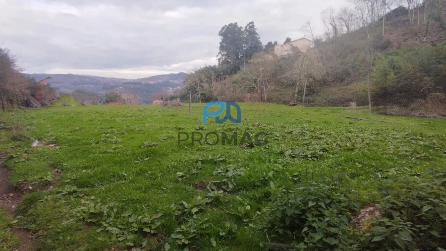 Terreno para Venda em Cinfães