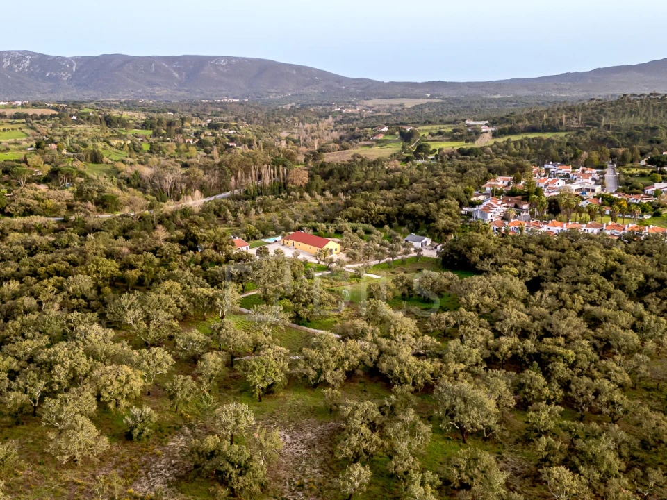 Quinta T9 para Venda em Azeitão (São Lourenço e São Simão) Foto 79
