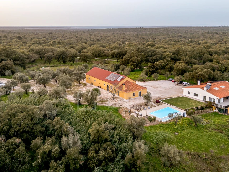 Quinta T9 para Venda em Azeitão (São Lourenço e São Simão) Foto 65