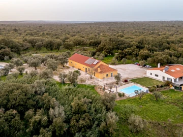 Quinta T9 para Venda em Azeitão (São Lourenço e São Simão)