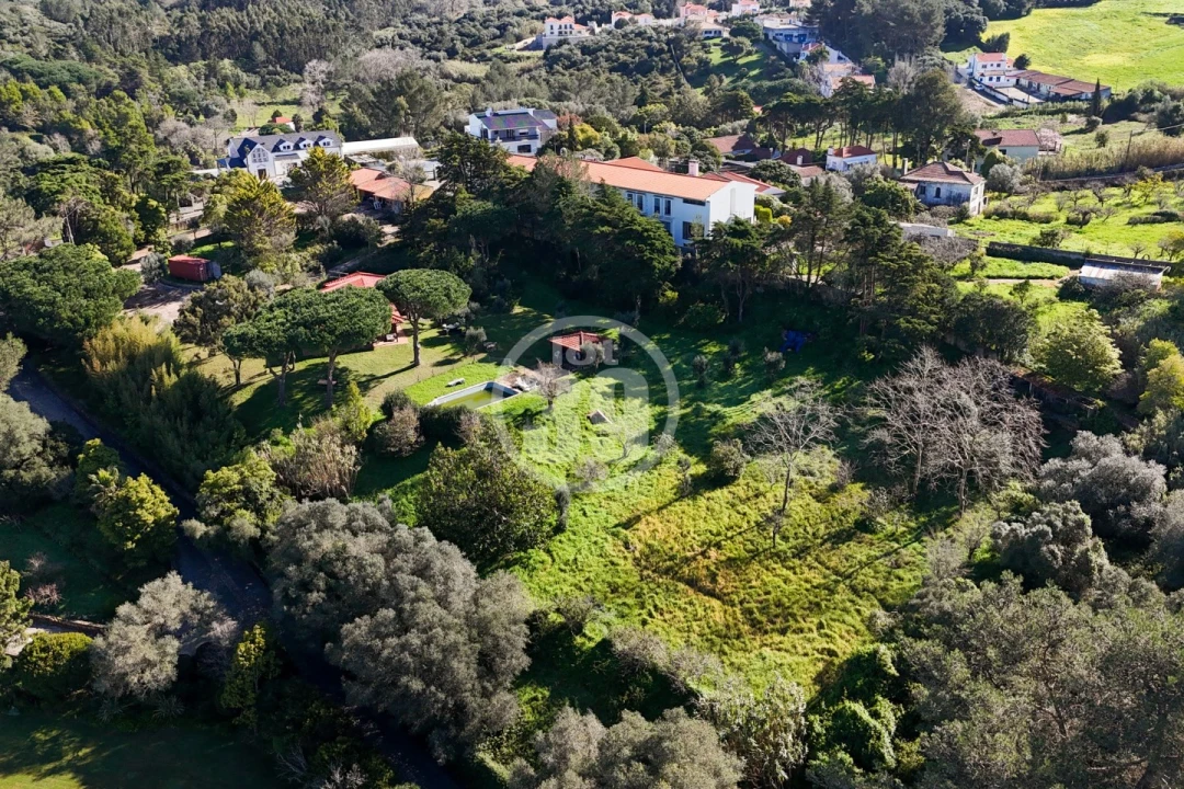 Quinta T5 para Venda em Santa Maria e São Miguel, São Martinho, São Pedro Penaferrim Foto 51