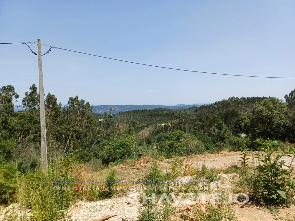 Moradia T3 para Venda em Alvaiázere Foto 5