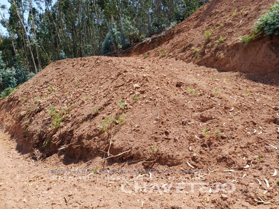 Moradia T3 para Venda em Alvaiázere Foto 59