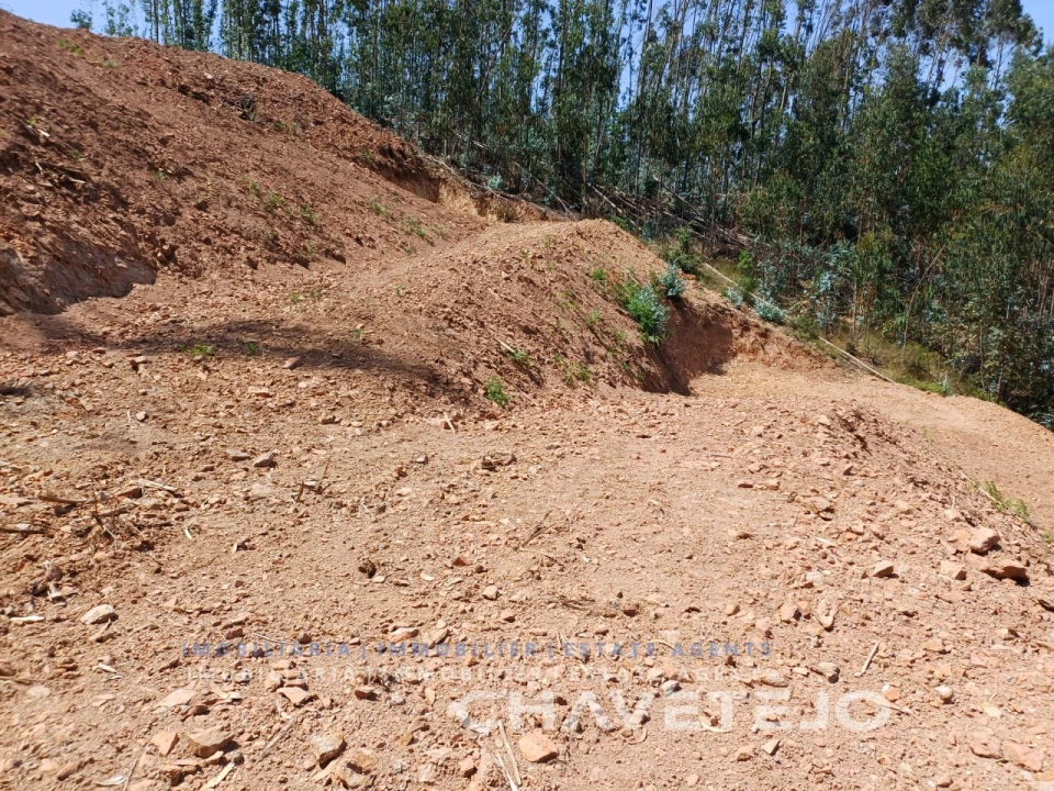 Moradia T3 para Venda em Alvaiázere Foto 61