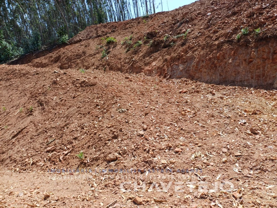 Moradia T3 para Venda em Alvaiázere Foto 66