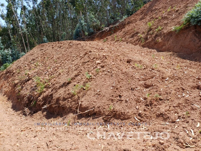 Moradia T3 para Venda em Alvaiázere Foto 59