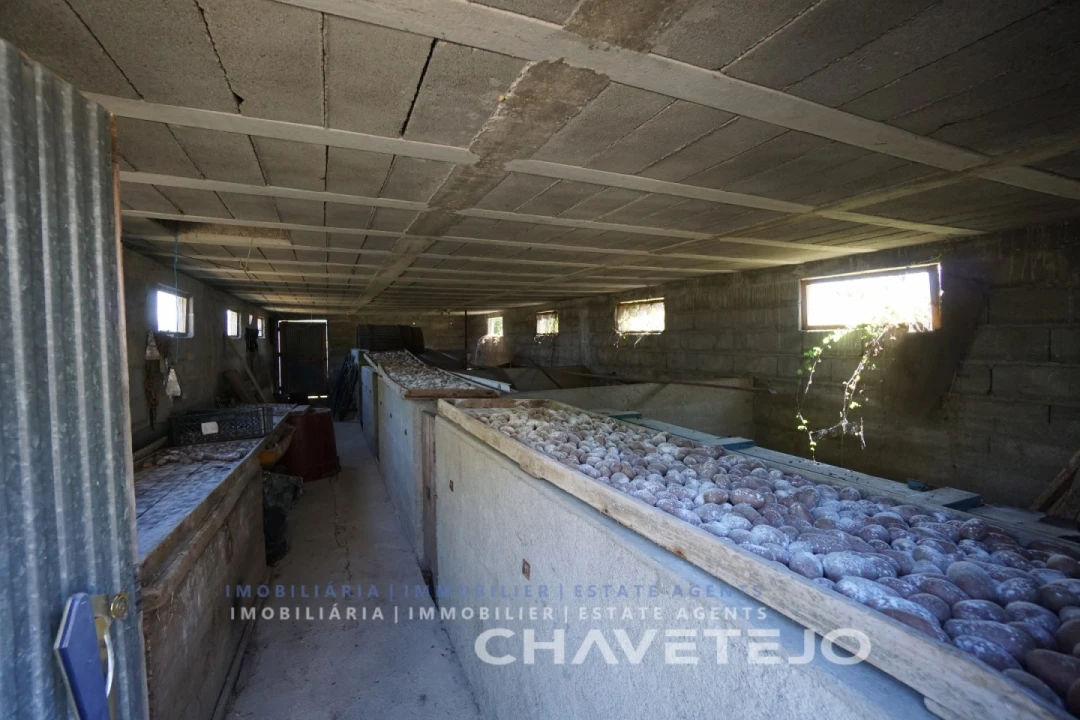 Quinta T2 para Venda em São João Baptista e Santa Maria dos Olivais Foto 33