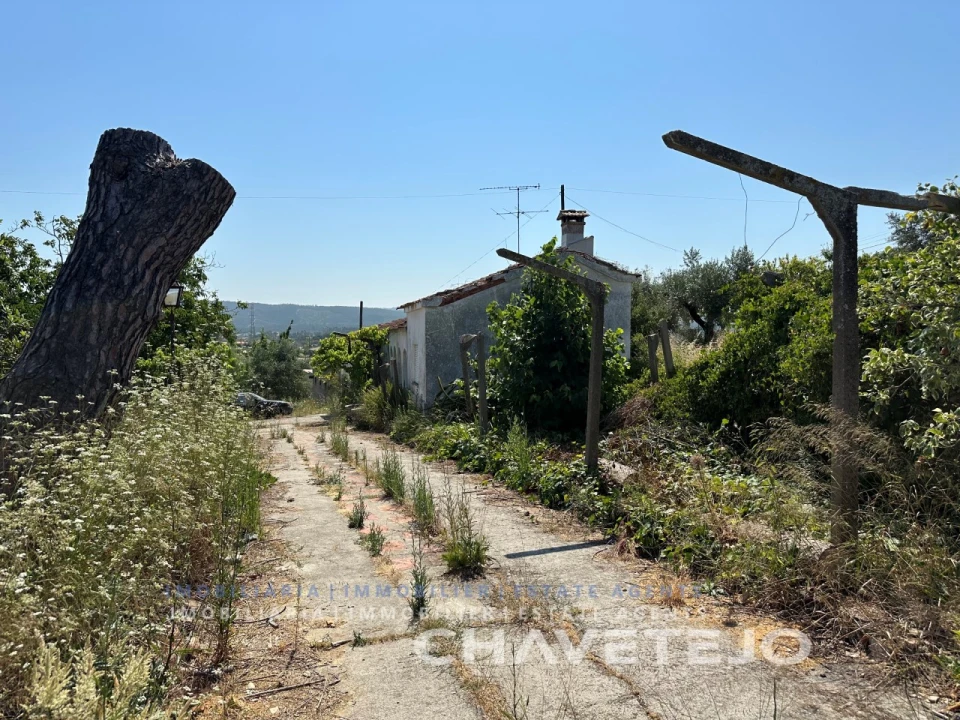Quinta T2 para Venda em São João Baptista e Santa Maria dos Olivais Foto 3