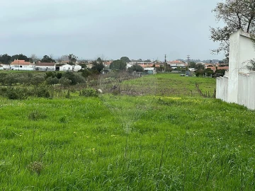 Terreno para Venda em Marinhais
