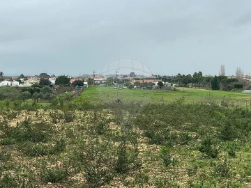 Terreno para Venda em Marinhais