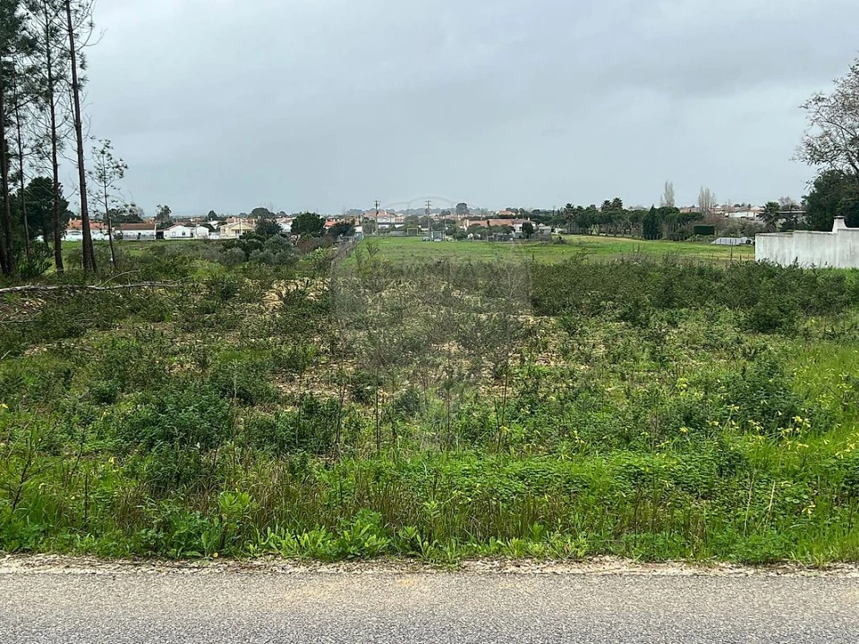 Terreno para Venda em Marinhais Foto 4