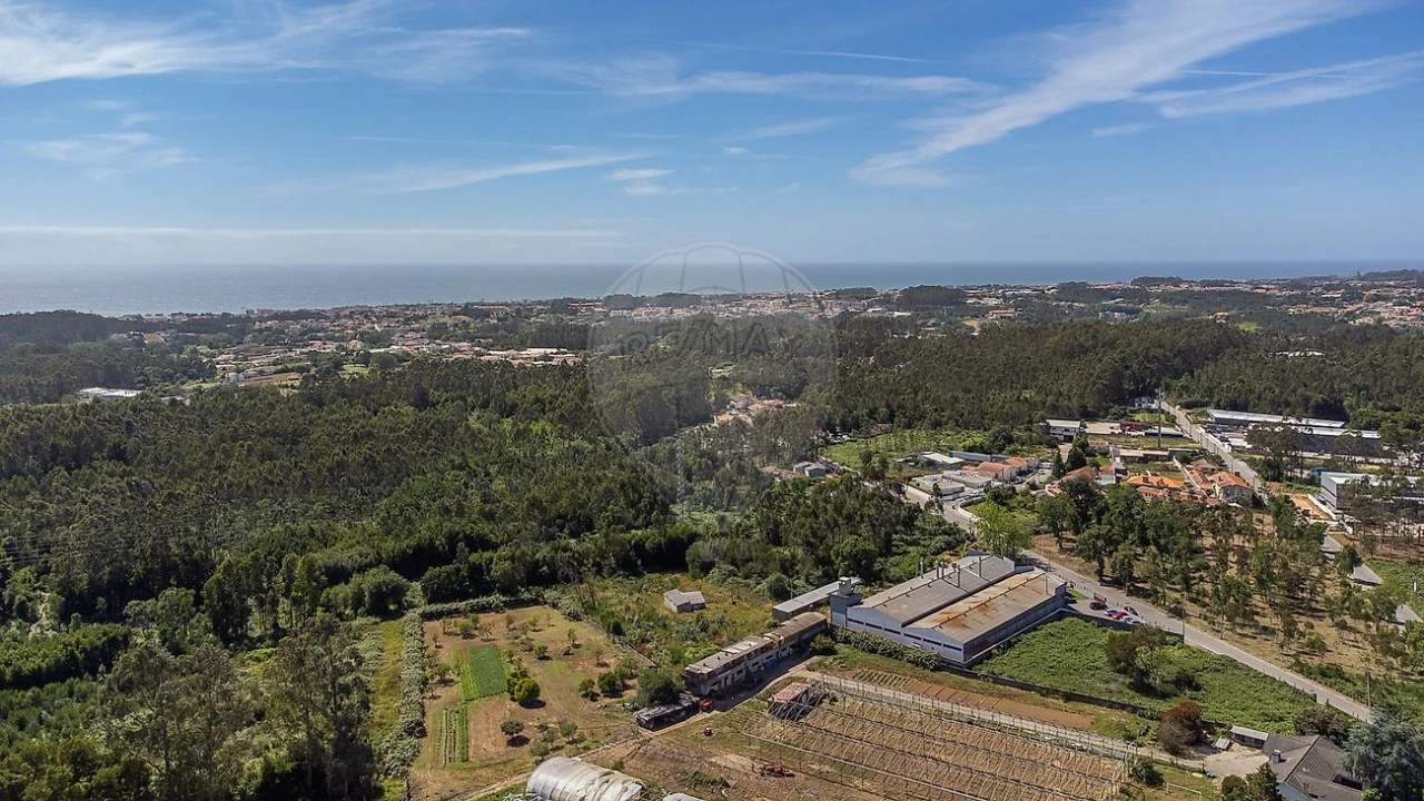 Armazém para Venda em Grijó e Sermonde Foto 34