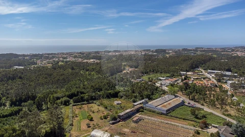 Armazém para Venda em Grijó e Sermonde