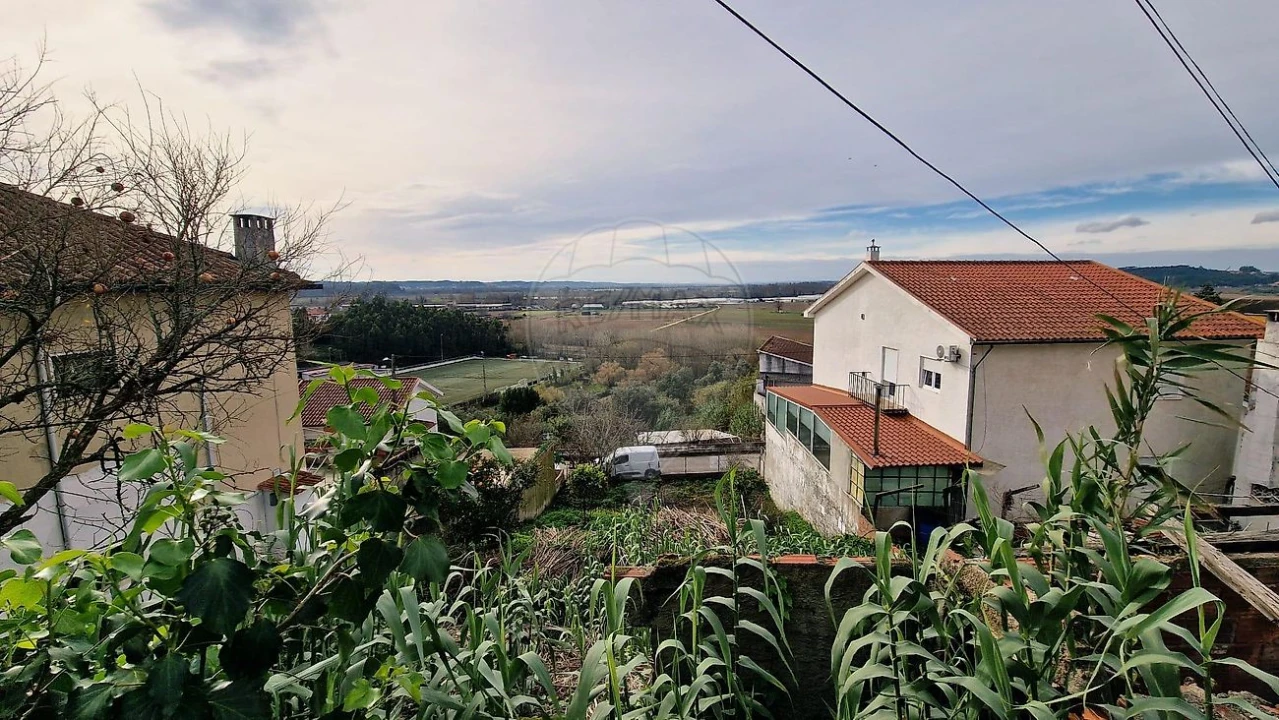 Terreno para Venda em Sé Nova, Santa Cruz, Almedina e São Bartolomeu Foto 1