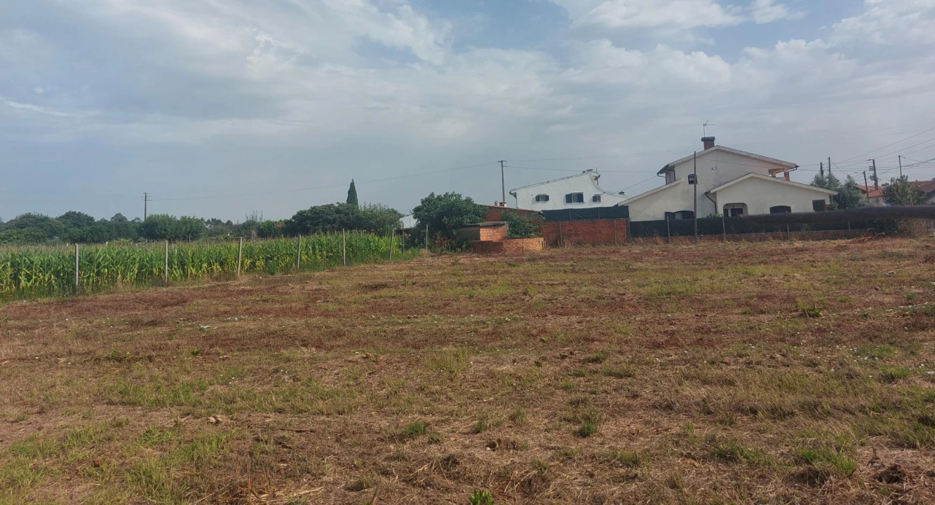 Terreno Agricola ou Rústico para Venda em Oiã Foto 1