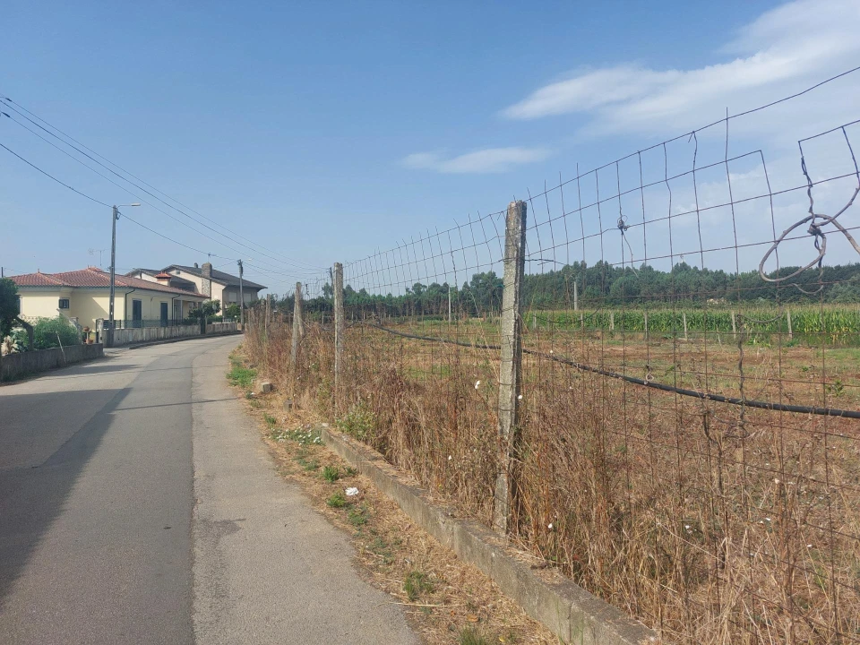 Terreno Agricola ou Rústico para Venda em Oiã Foto 10