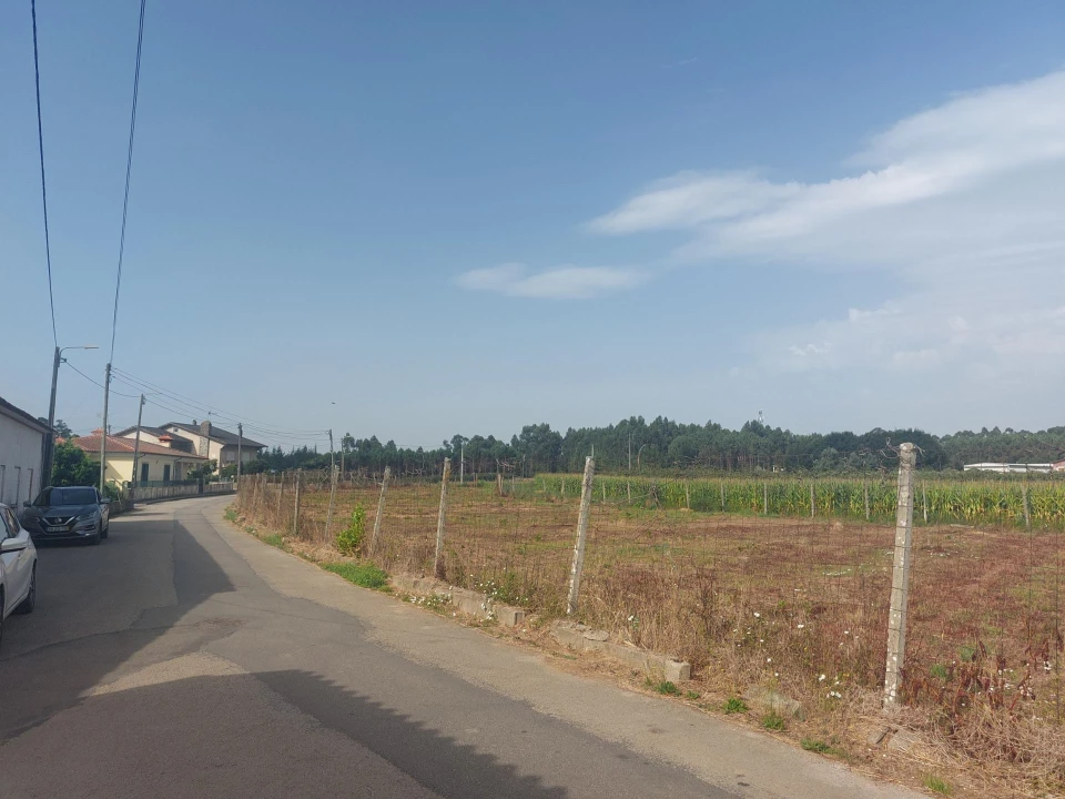 Terreno Agricola ou Rústico para Venda em Oiã Foto 11
