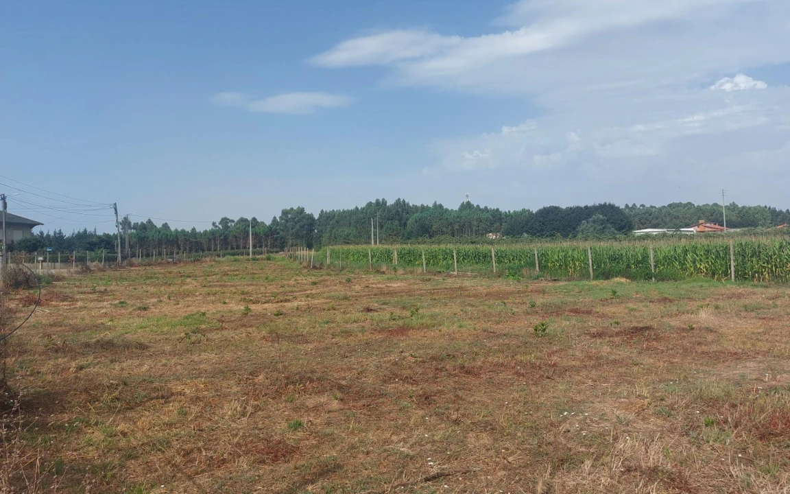 Terreno Agricola ou Rústico para Venda em Oiã Foto 2