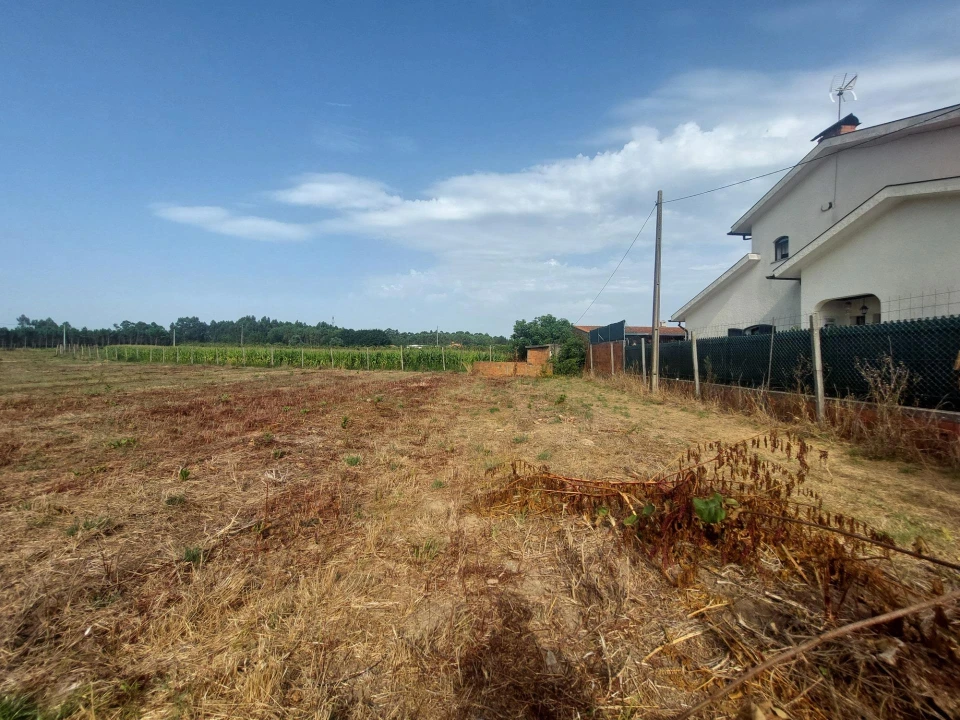 Terreno Agricola ou Rústico para Venda em Oiã Foto 4