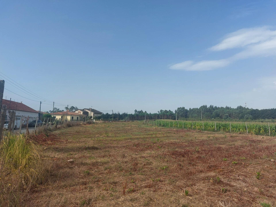 Terreno Agricola ou Rústico para Venda em Oiã Foto 5