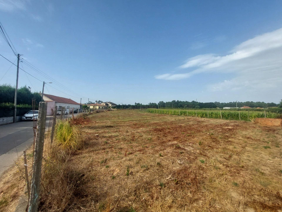 Terreno Agricola ou Rústico para Venda em Oiã Foto 6