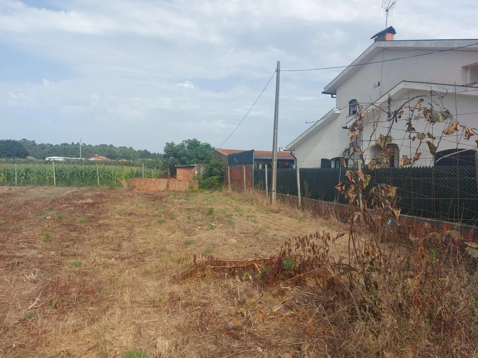 Terreno Agricola ou Rústico para Venda em Oiã Foto 7