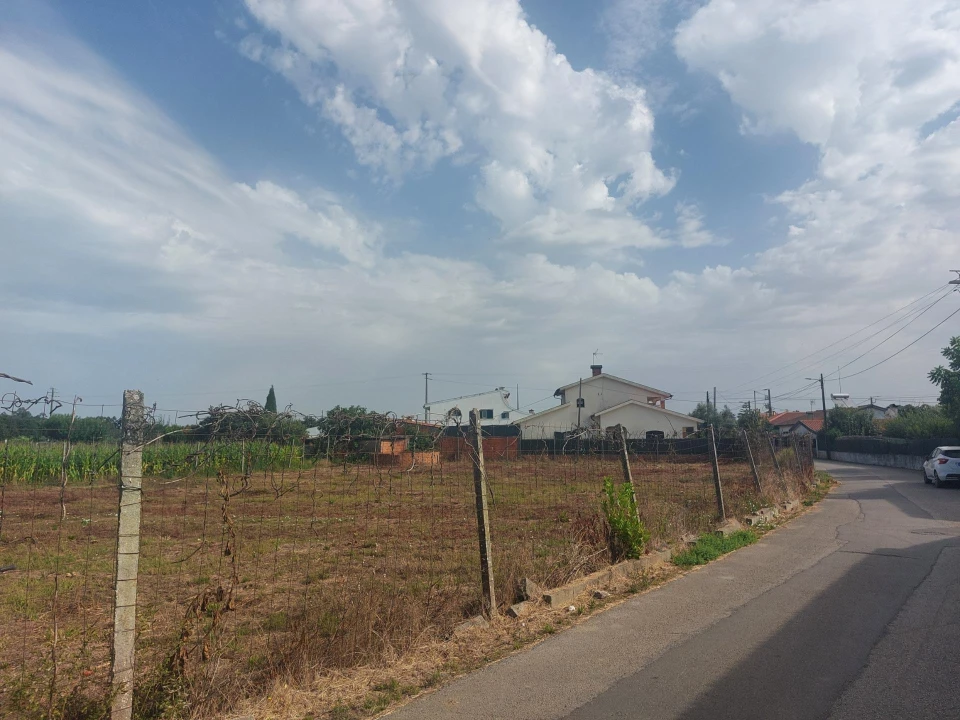 Terreno Agricola ou Rústico para Venda em Oiã Foto 8
