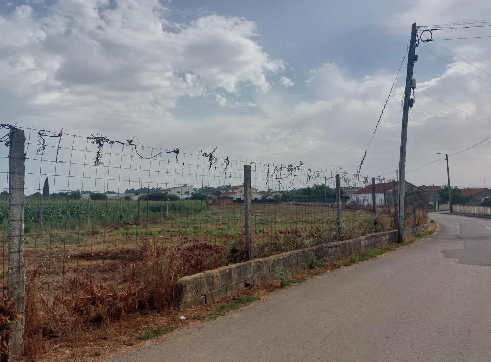 Terreno Agricola ou Rústico para Venda em Oiã Foto 9