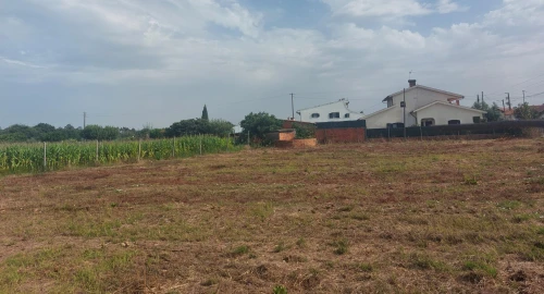 Terreno Agricola ou Rústico para Venda em Oiã