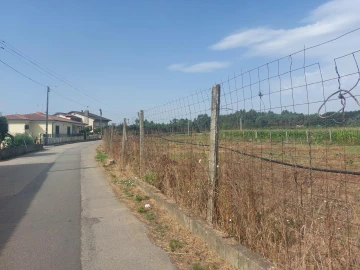 Terreno Agricola ou Rústico para Venda em Oiã