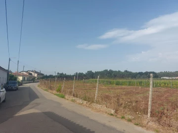Terreno Agricola ou Rústico para Venda em Oiã