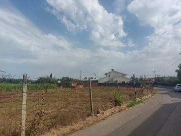 Terreno Agricola ou Rústico para Venda em Oiã