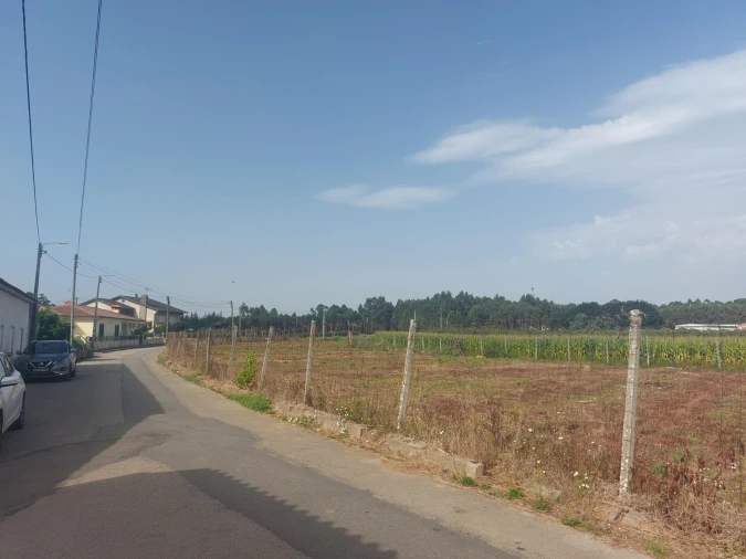 Terreno Agricola ou Rústico para Venda em Oiã Foto 11
