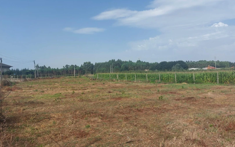Terreno Agricola ou Rústico para Venda em Oiã Foto 2