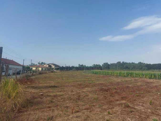 Terreno Agricola ou Rústico para Venda em Oiã Foto 5