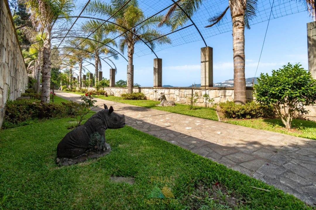 Quinta T3 para Venda em Calheiros Foto 3
