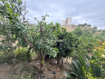 Apartamento T2 para Venda em Abrantes (São Vicente e São João) e Alferrarede