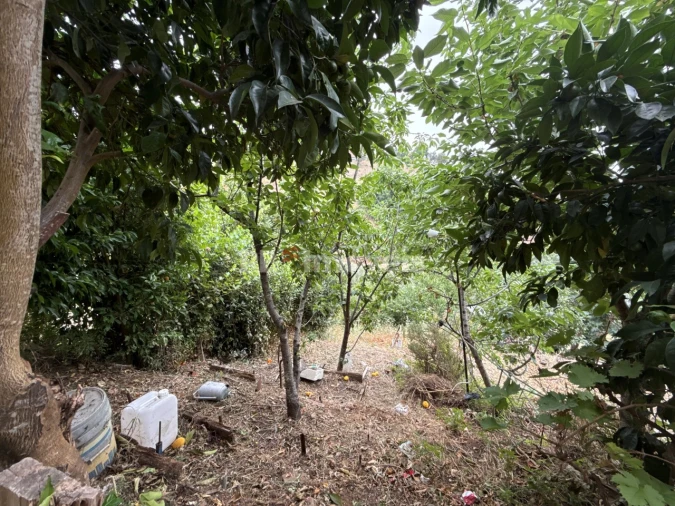 Apartamento T2 para Venda em Abrantes (São Vicente e São João) e Alferrarede Foto 19