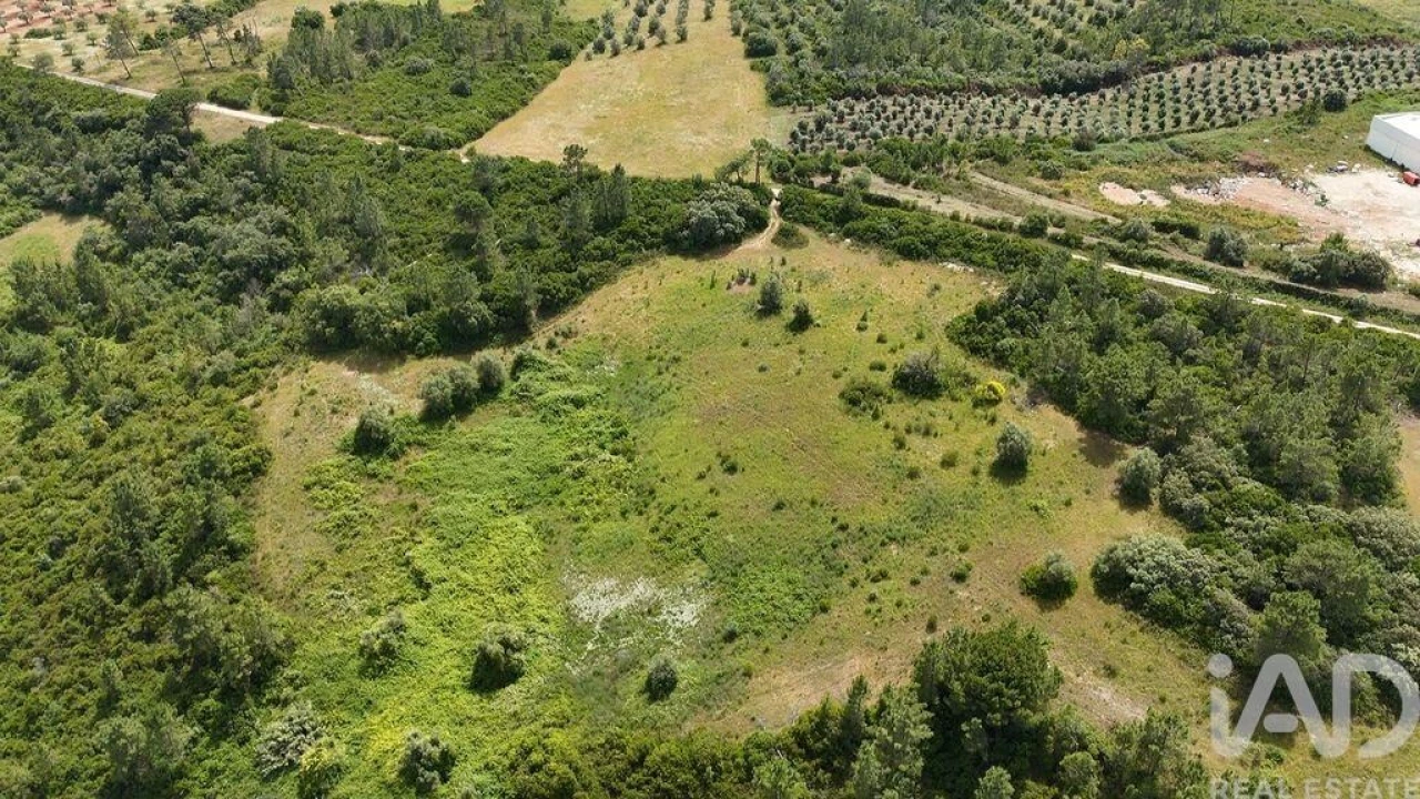 Terreno para Venda em Azambujeira e Malaqueijo Foto 3