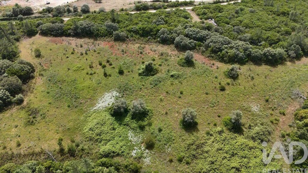 Terreno para Venda em Azambujeira e Malaqueijo Foto 8
