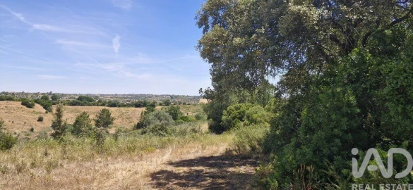 Terreno para Venda em Azambujeira e Malaqueijo