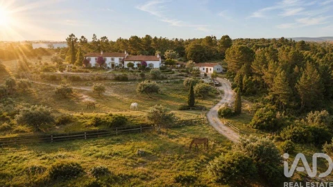 Terreno para Venda em Azambujeira e Malaqueijo