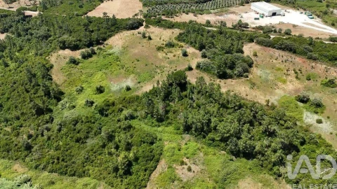 Terreno para Venda em Azambujeira e Malaqueijo