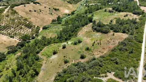 Terreno para Venda em Azambujeira e Malaqueijo