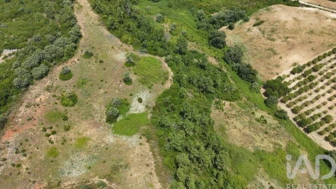 Terreno para Venda em Azambujeira e Malaqueijo