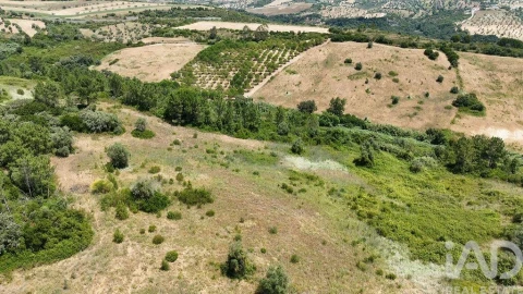 Terreno para Venda em Azambujeira e Malaqueijo