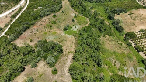 Terreno para Venda em Azambujeira e Malaqueijo