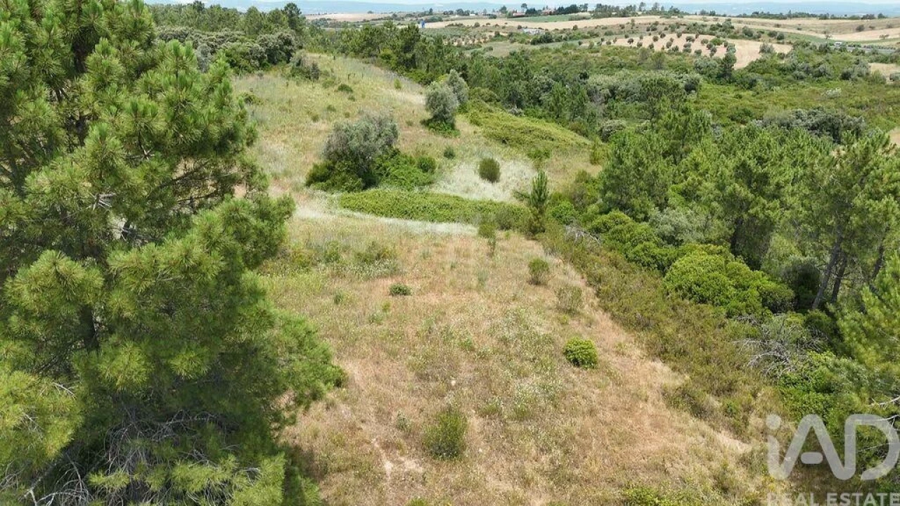 Terreno para Venda em Azambujeira e Malaqueijo Foto 30